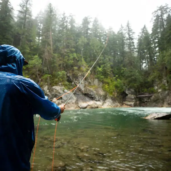 Can you catch trout fishing in the rain?