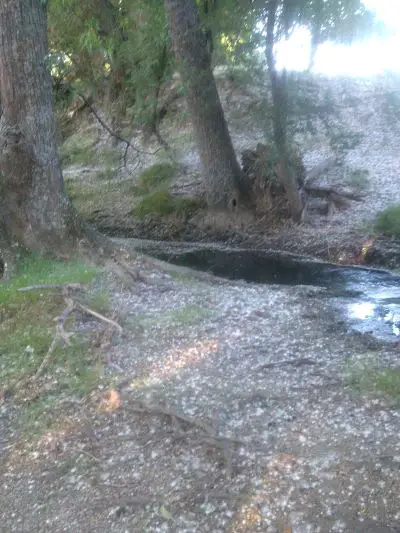 Rescue trout from drying pools