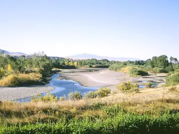 How to Catch Trout in Hot Weather?