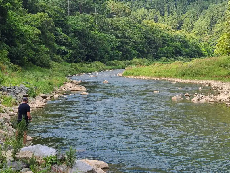 Trout fishing in Korea