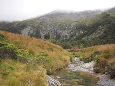 Brook trout favour cold, clean streams where they have an advantage over brown trout. 