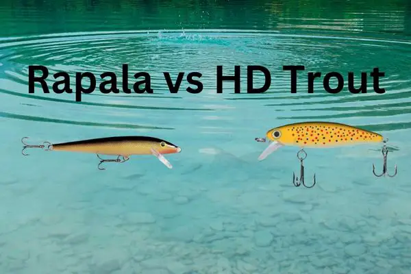 Rapala and HD trout lures are both excellent trout catchers, but which one is best.