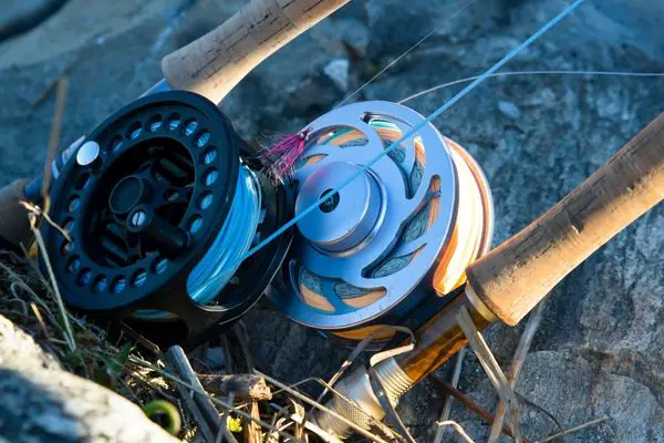 Seven best fly fishing reels for trout