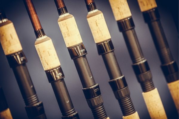 6 Best Spinning Rods For Trout Fishing (Based on real world use)