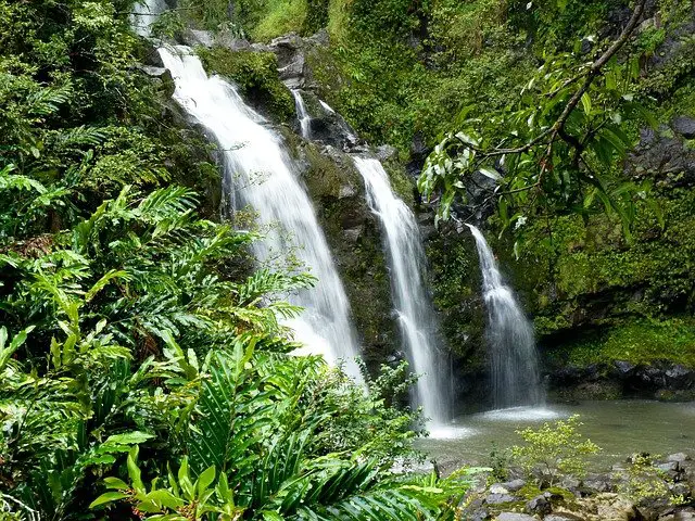 Hawaii trout pool