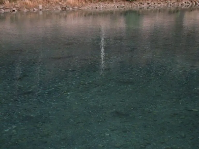 Can you eat spawning trout?