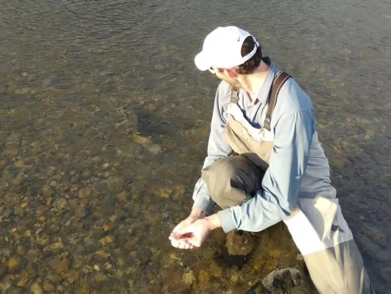 How fast and far do trout swim?