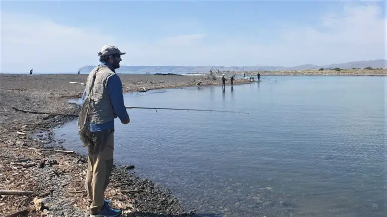 Does Spinning or Fly fishing catch more trout? (My experience)