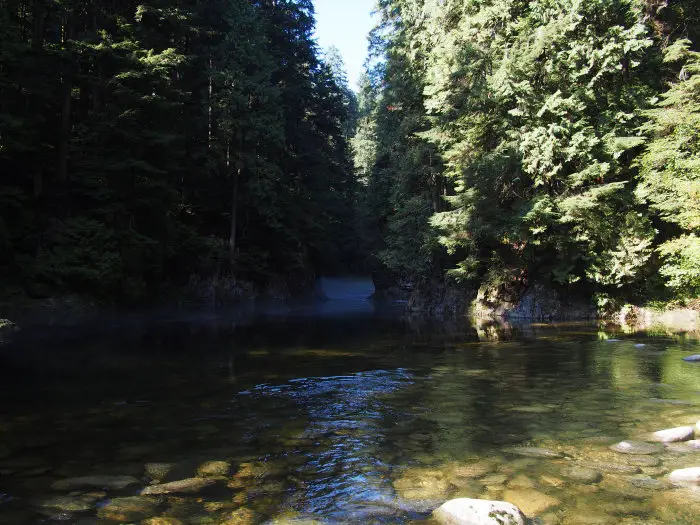 Trout often rest in the deepest parts of ponds