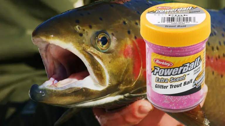 Do wild trout eat powerbait dough?