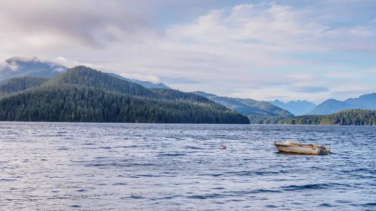 How deep do trout live? (Do big trout live deeper?)