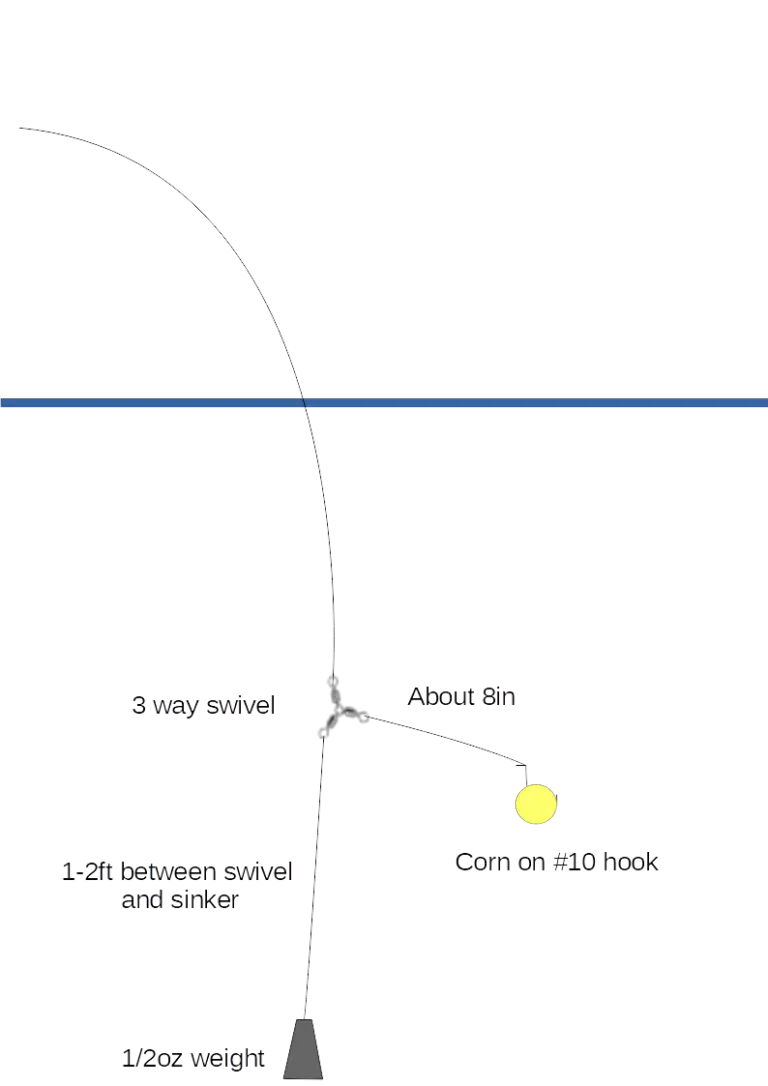 How to catch trout on corn? Trout Resource