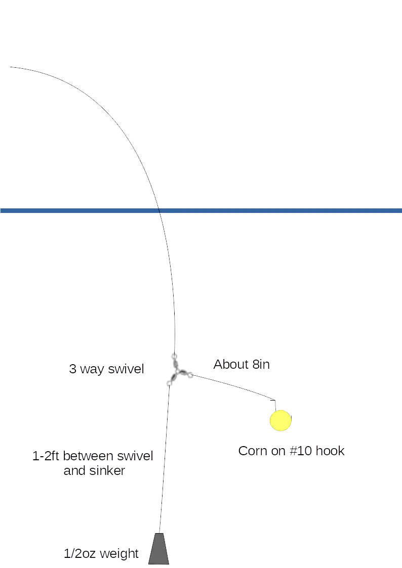 How to catch trout on corn? Trout Resource