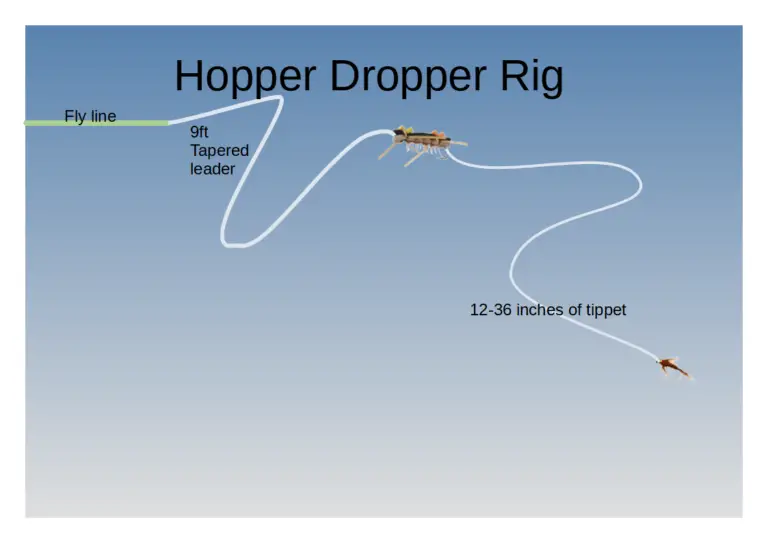 Learn Why The Hopper Dropper Catches So Many Trout