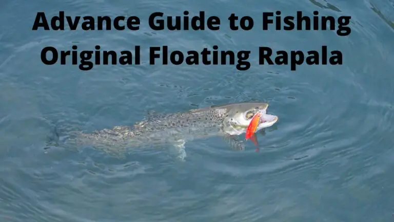 How to Fish a Floating Rapala (Detailed Guide)