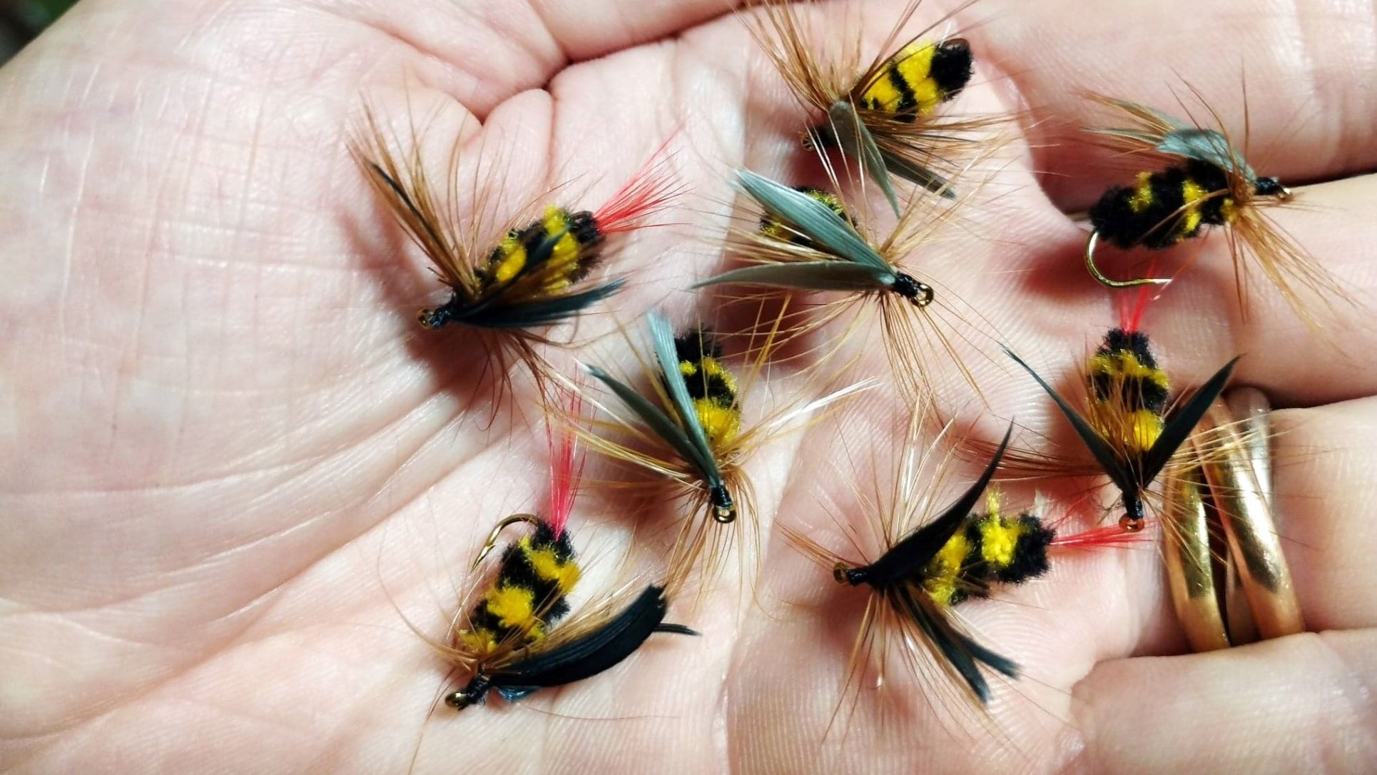 Bee flies used for fly fishing for trout