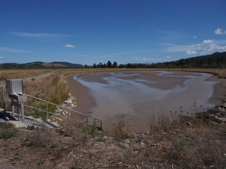 How to catch trout in hot weather