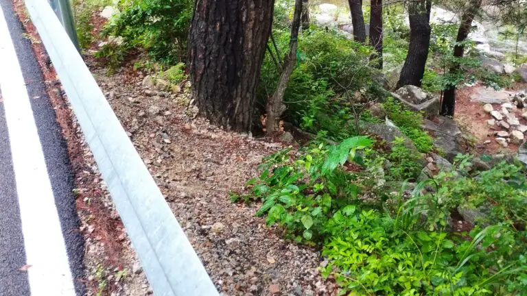 Quick guide to find ‘hidden’ access tracks to public fishing spots
