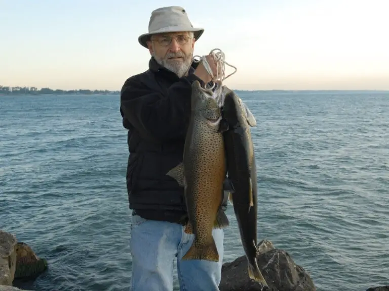 The rivers and lakes that are home to the largest Brown Trout in North American