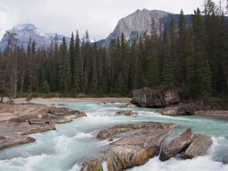 How to swim down rapids, what to do if you lose your footing when wading?