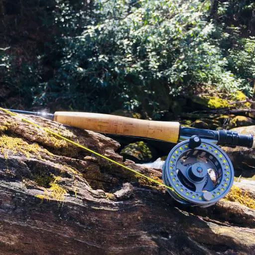 Four Top Fly Rods For Overgrown Streams
