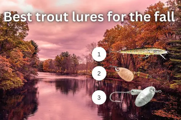 My favorite spinning lures for fall trout