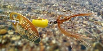 Top 10 trout lures for Colorado - Trout Resource