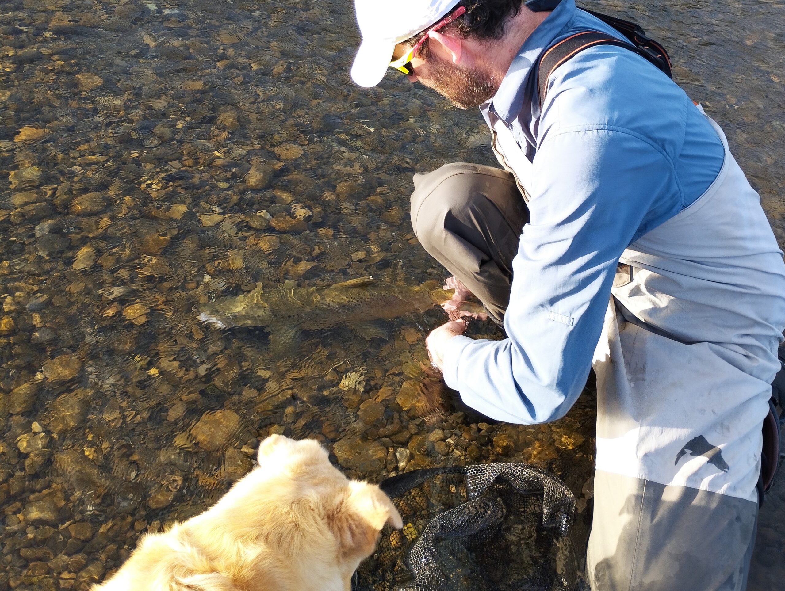 I am releasing a trout, I often wonder do they remember getting caught.