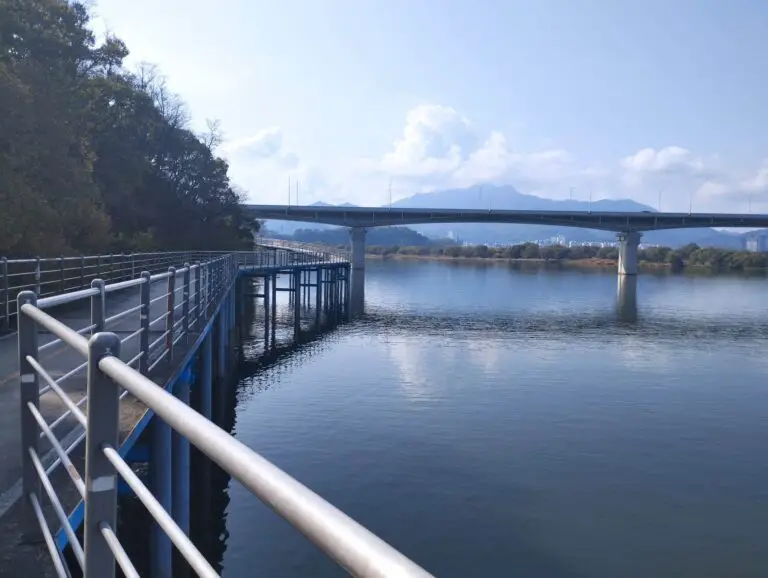 Why do fishermen look over the side of bridges?