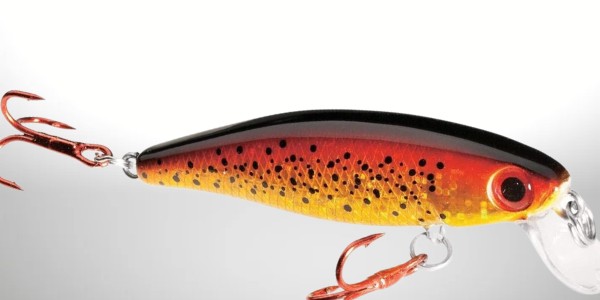 The HD trout by Dynamic lures is a excellent jerkbait for fishing for trout in shallow water