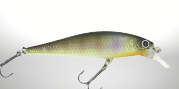The luck craft pointer is an excellent premium jerkbait for catching trout.