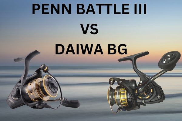 Penn Battle III vs Daiwa BG