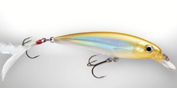 The Rapala X-rap is an excellent new suspending jerkbait