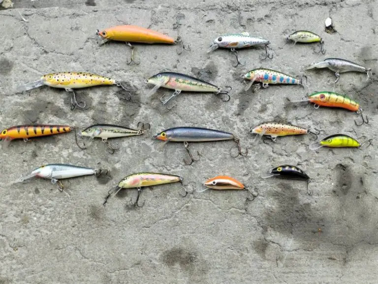 Crack the Code Picking the Perfect Jerkbait Color for Trout Fishing
