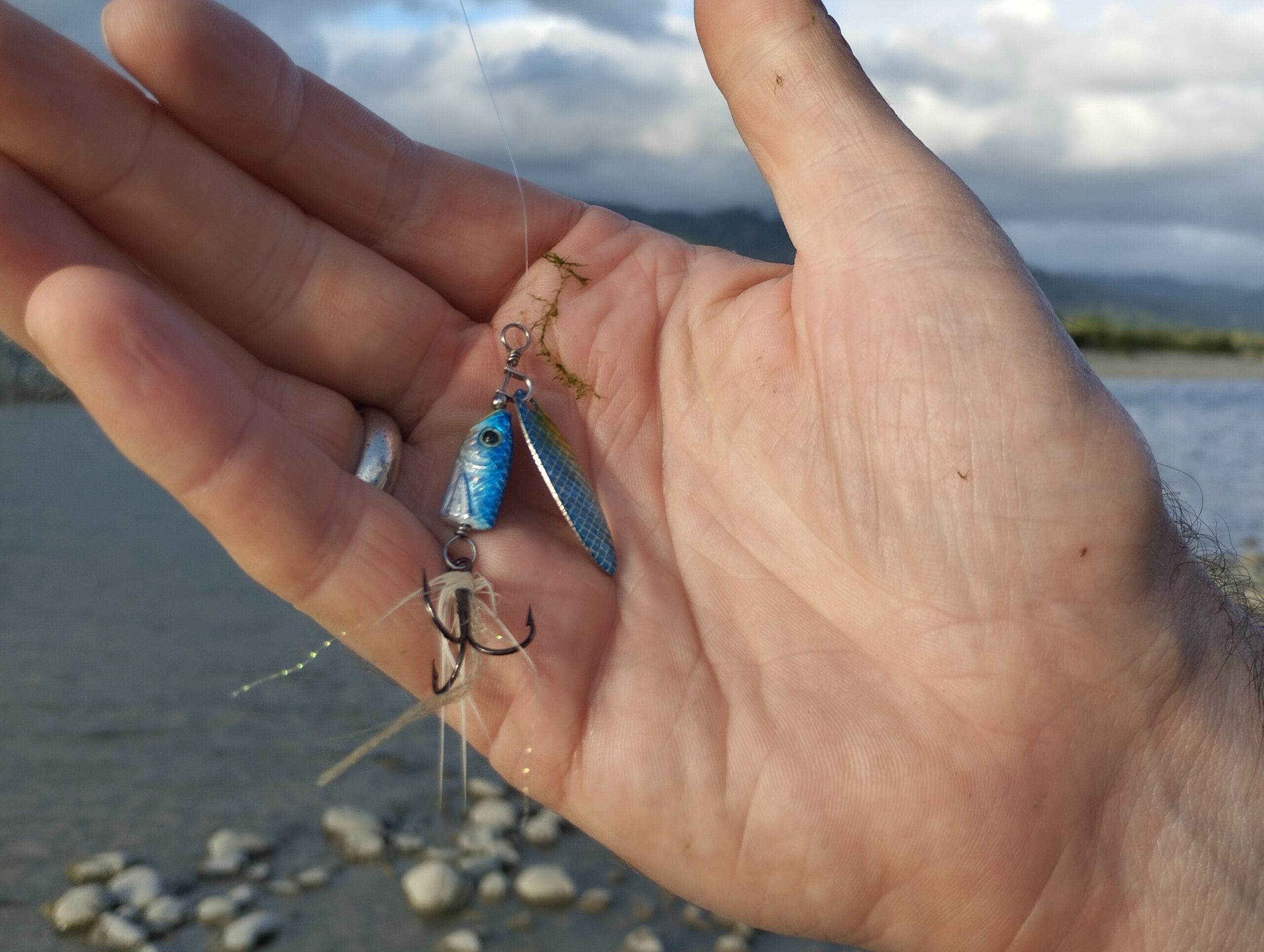 Holding a Blue Fox Flash trout spinner in my hand. It seems to work well targeting trout holding in deep water.