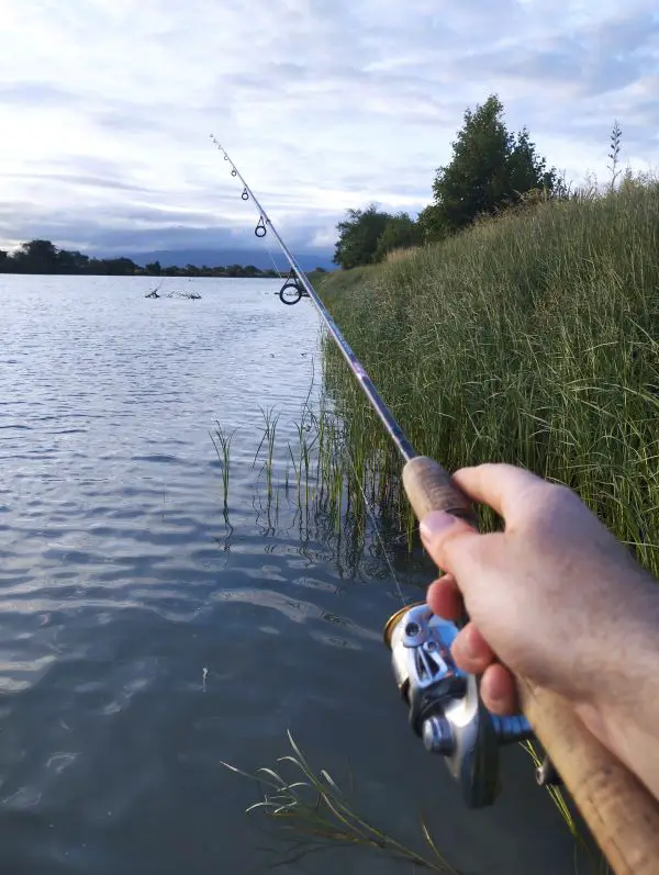 Fishing for brown trout in an estuary just on dark. 