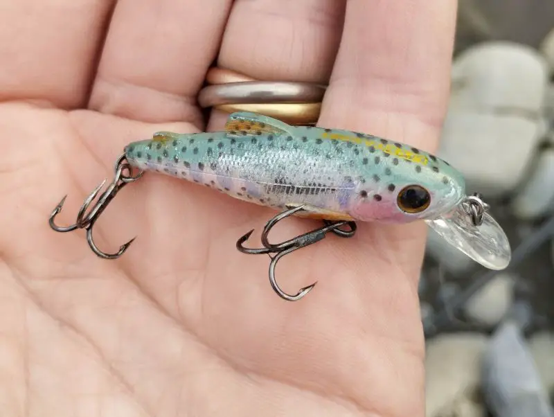 Live target rainbow trout jerkbait. 