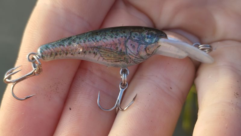 Yo-zuri snap shad in rainbow trout pattern