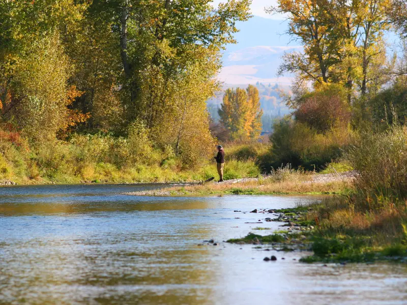 Which state has the best trout fishing?