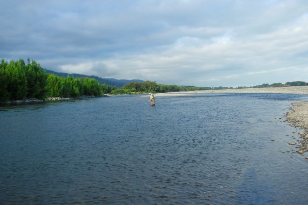10 Trophy Trout Rivers in New Zealand