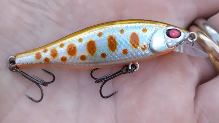 Holding a trout lure with ultra violet dots